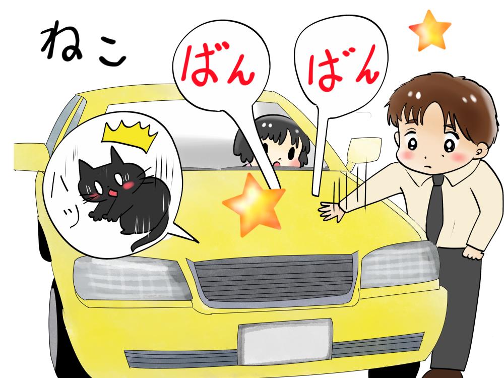 1865437　猫バンバン